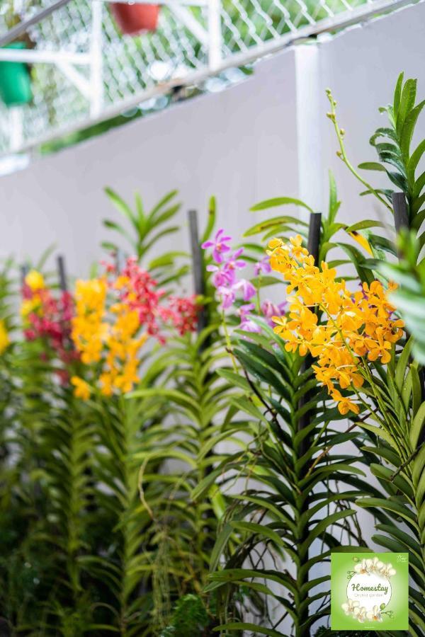 Can Tho Orchid Garden Homestay Eksteriør bilde