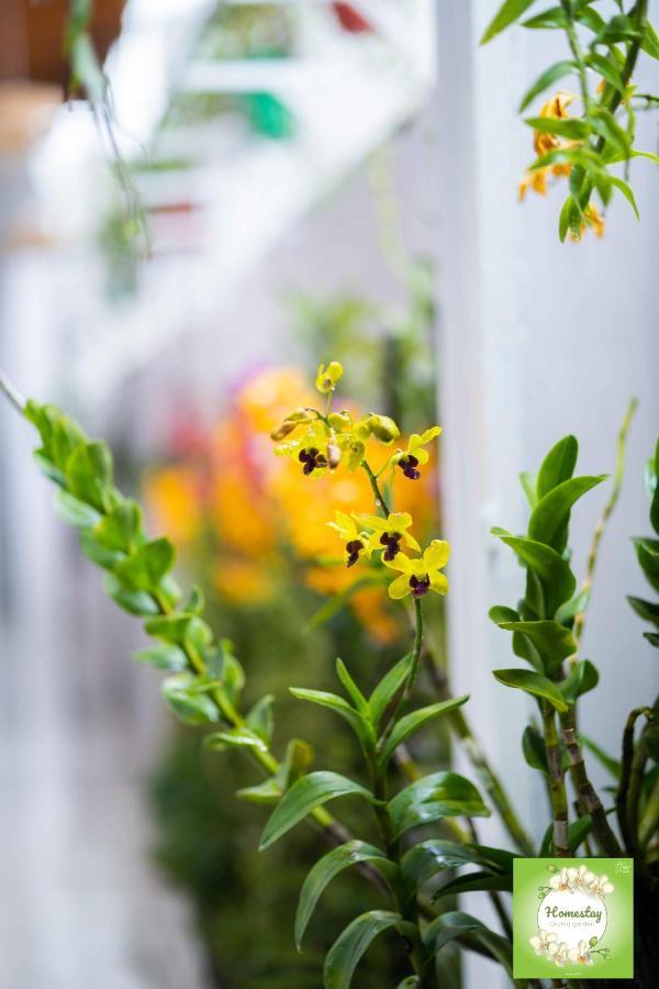 Can Tho Orchid Garden Homestay Eksteriør bilde