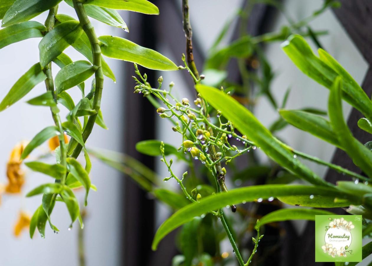 Can Tho Orchid Garden Homestay Eksteriør bilde
